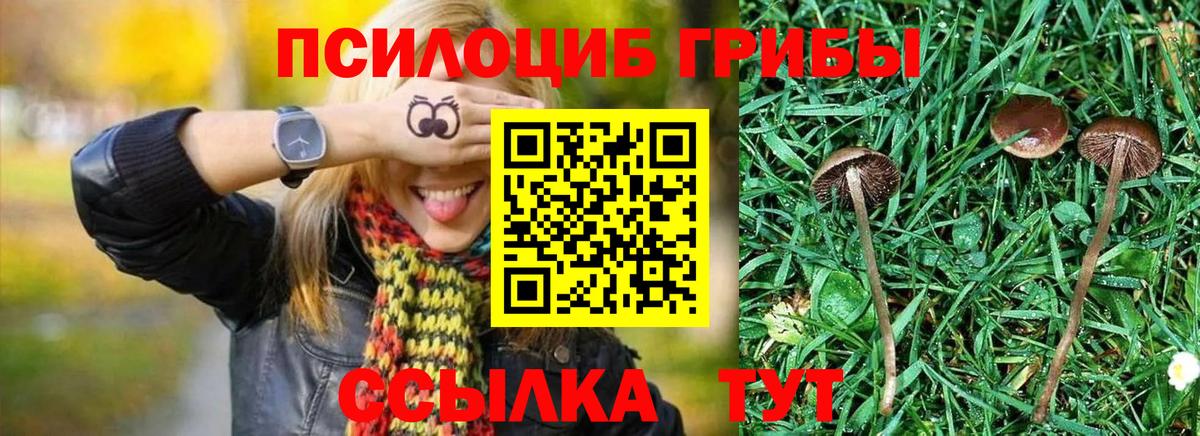 Галлюциногенные грибы Cubensis  Вход с VPN  Холмск 